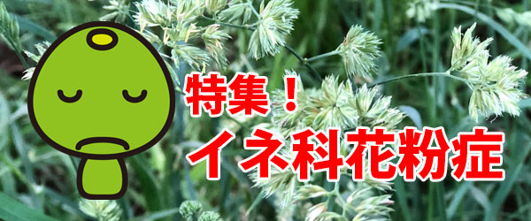 2022年版花粉症特集